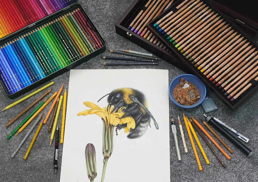 A selection of the art materials I use for my Artwork