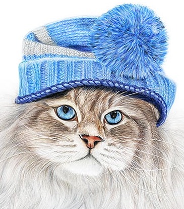coloured pencil portrait of a feline wearing a blue woolen hat