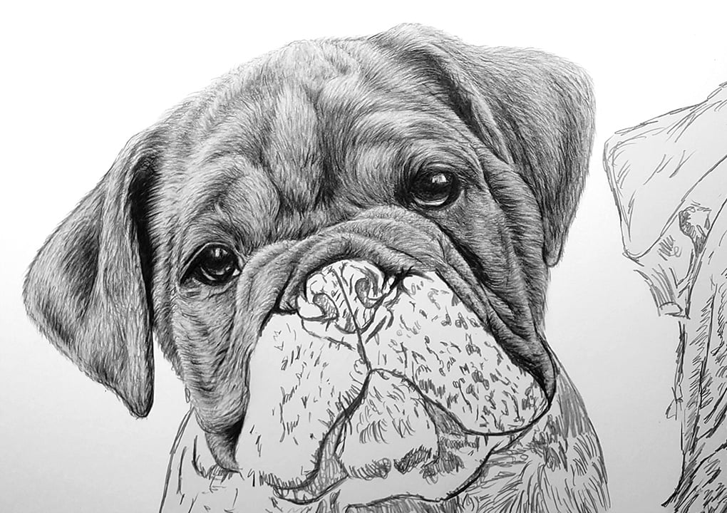 Mylo working Progress Images - Stage Two