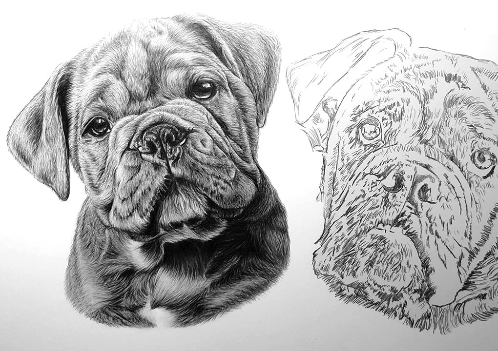 Mylo working Progress Images - Stage Three