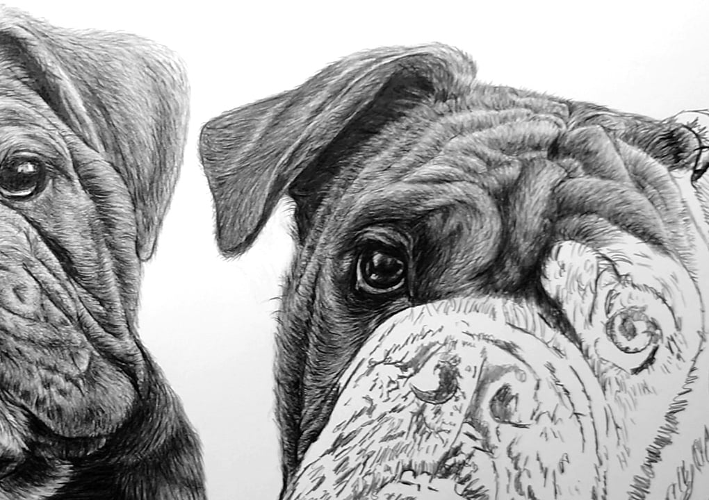 Mylo working Progress Images - Stage Four