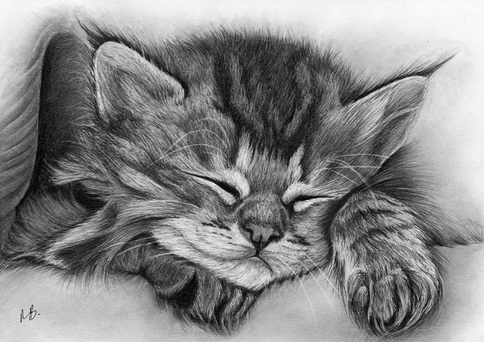 A graphite pencil drawing of a kitten sleeping in a blanket
