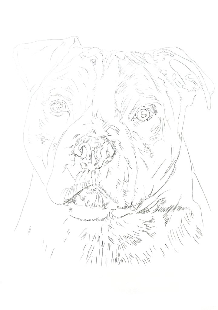 Light graphite outline of Tyson’s portrait, mapping proportions and key features before colour application.